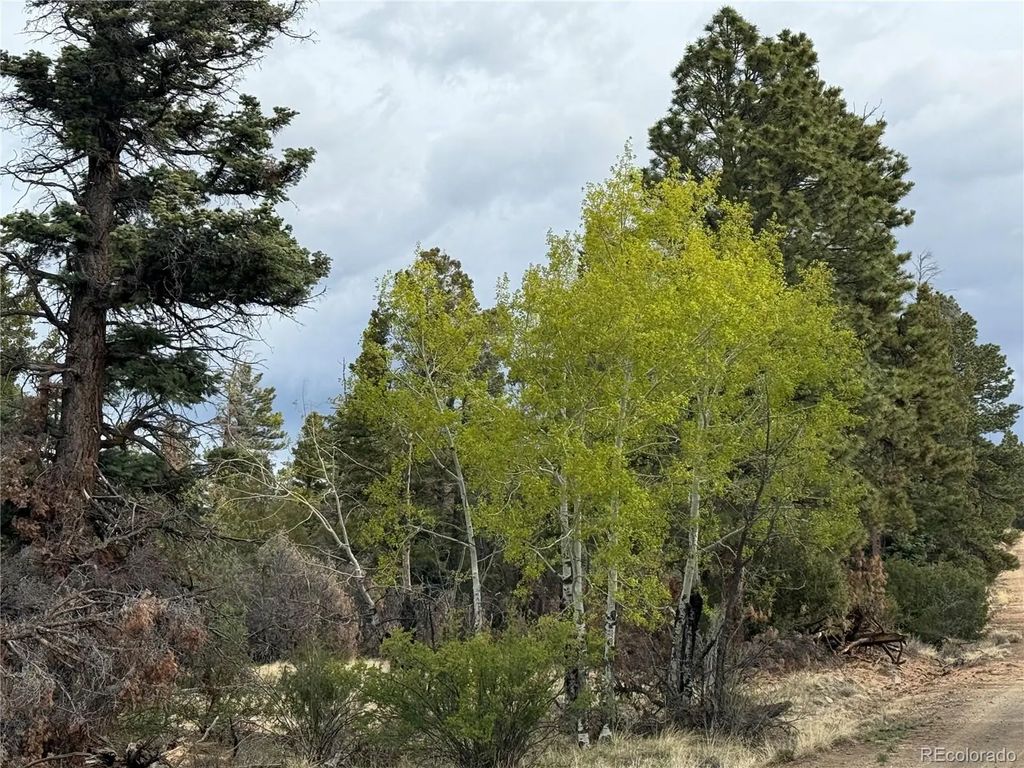 Lot 154 Tahmoush Lane, Fort Garland