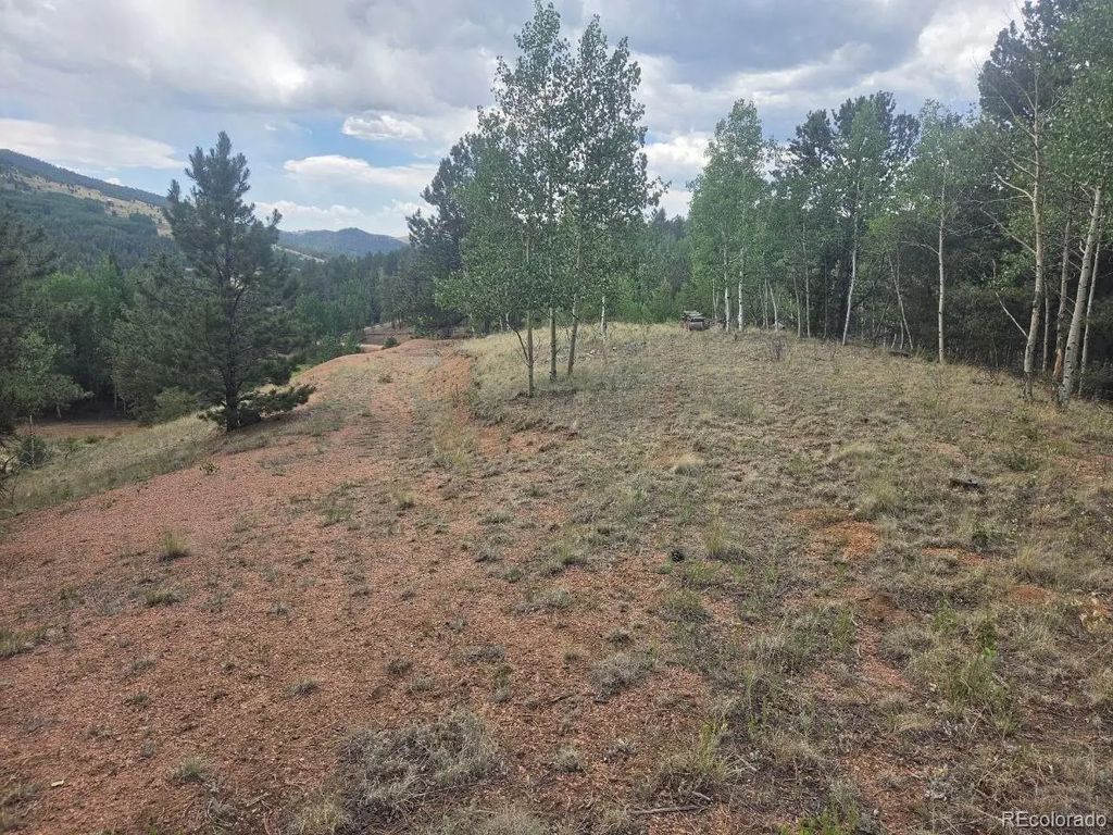 1124 Yorktown Road, Cripple Creek