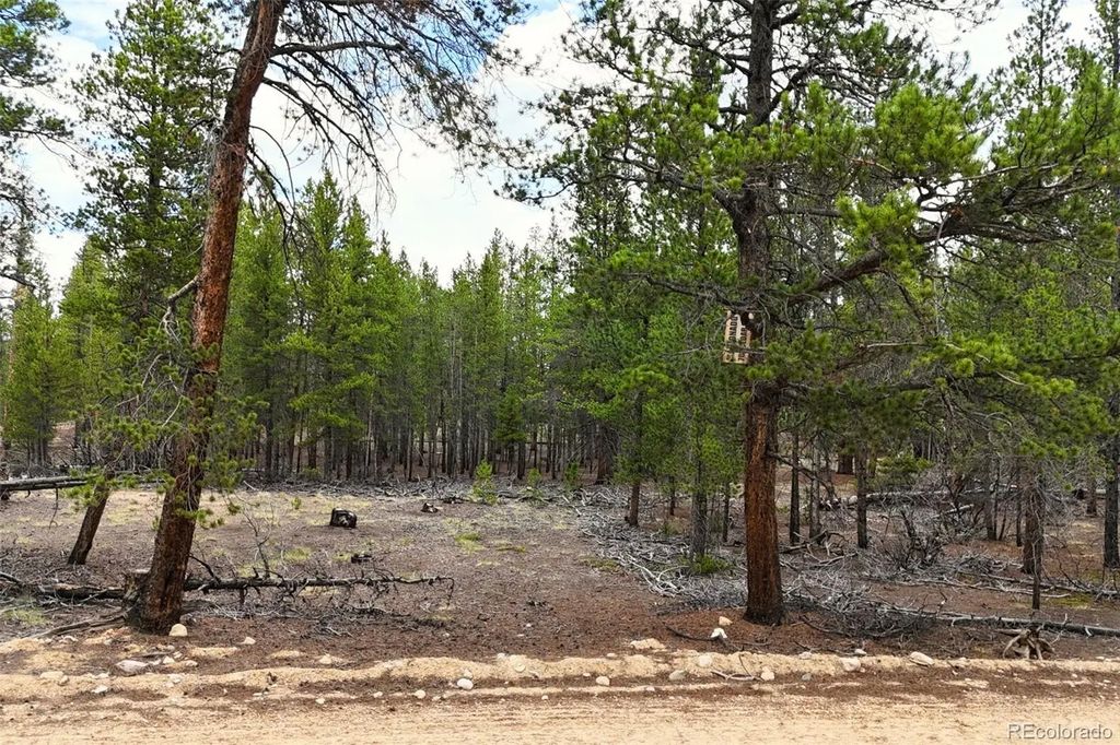 701 Cedar Drive, Leadville