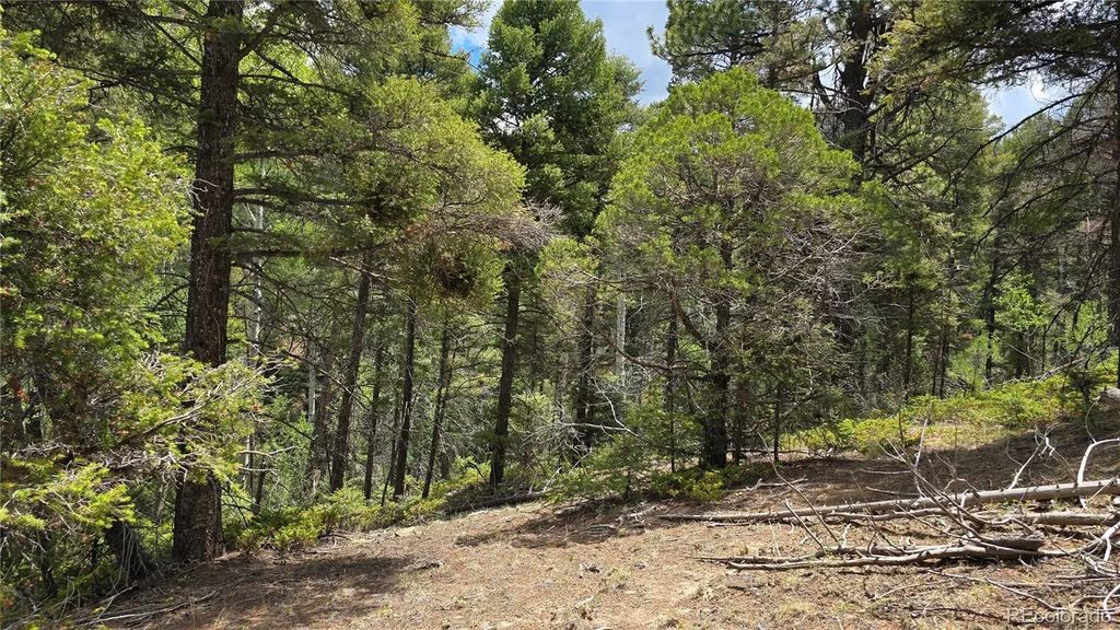 Lot 5540 Joy Road, Fort Garland
