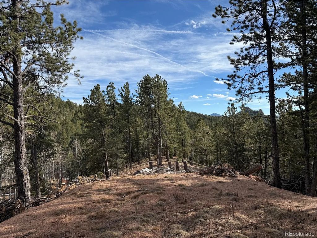 162 Eagle Drive, Divide