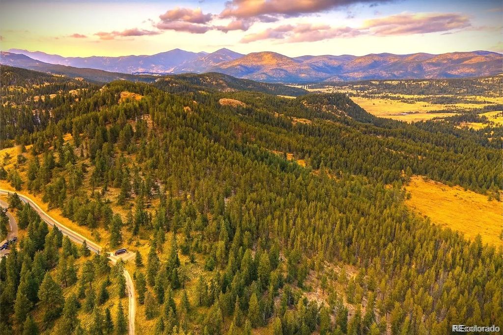 32553 Lodgepole Circle, Evergreen
