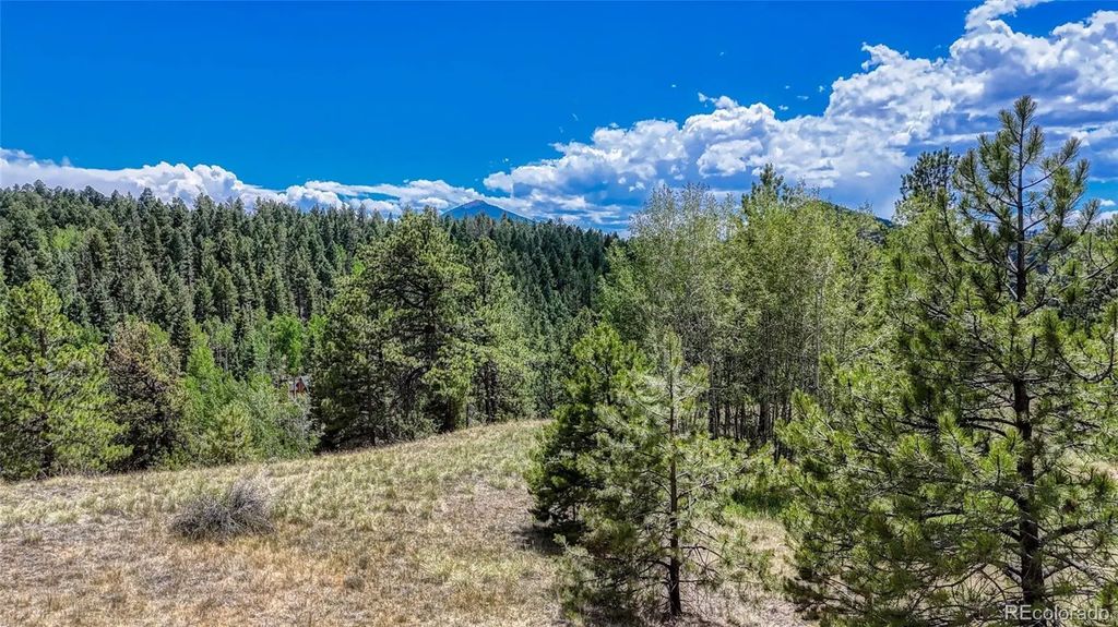 218 Princess Road, Cripple Creek