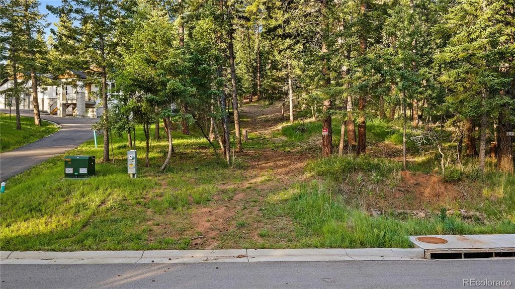 8125 Bannock Drive, Larkspur
