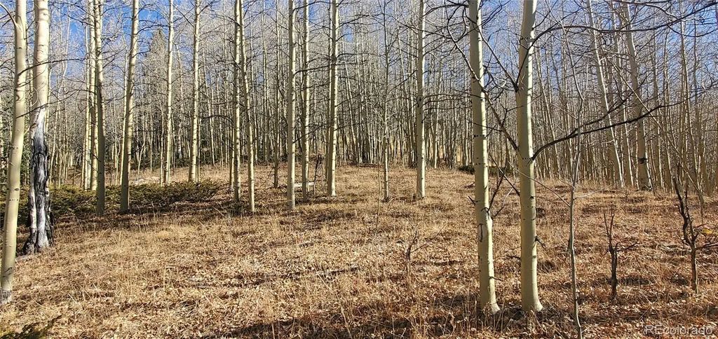 Lot's 6414 & 6415 Bronfman Road, Fort Garland