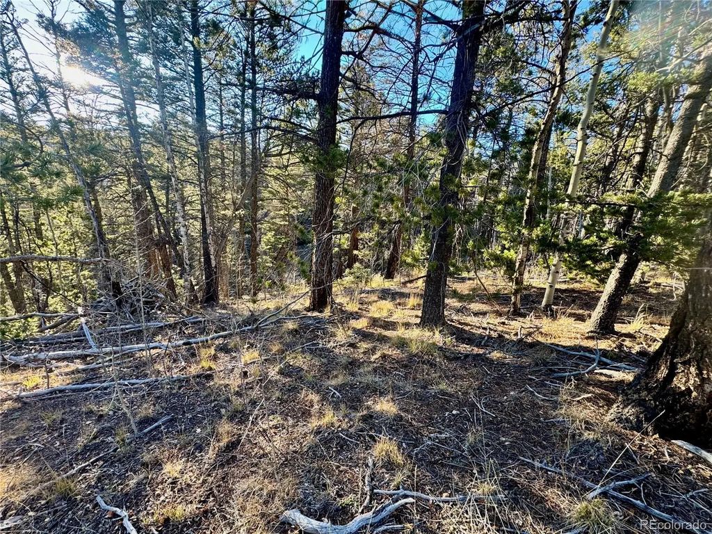 Lot 5888 Loubier Road, Fort Garland