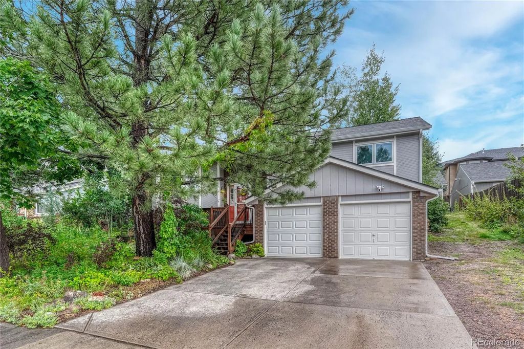 473 S Larkspur Drive, Castle Rock