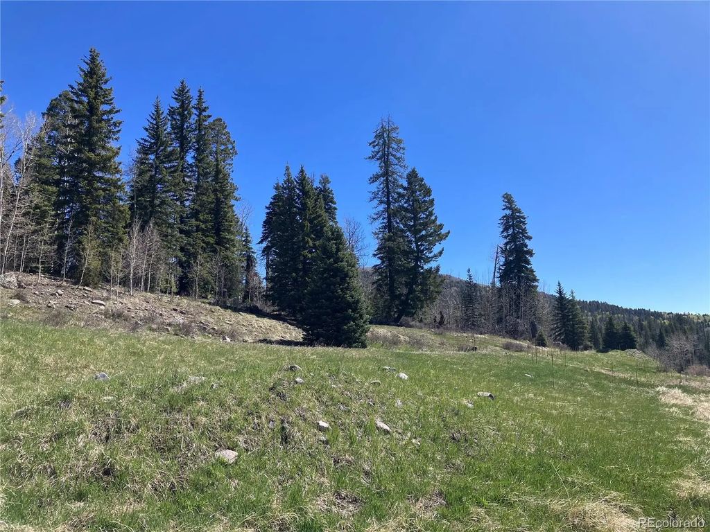 222 Lost Valley Drive, Creede