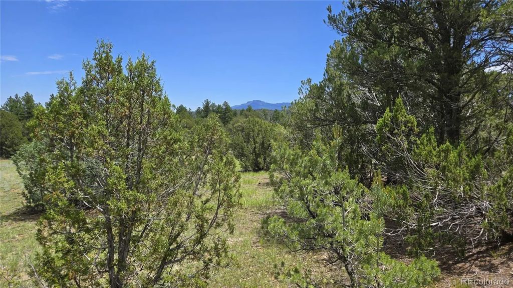 20 Colorado Mountain Lake Estates, Trinidad