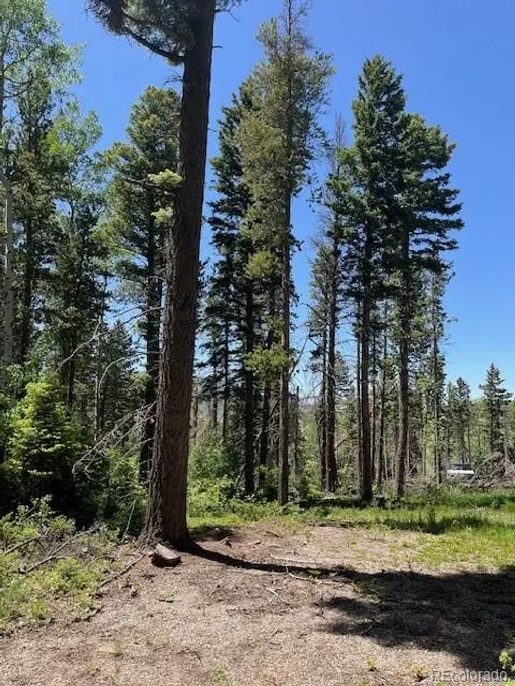 Lot 2449 Petito Drive, Fort Garland