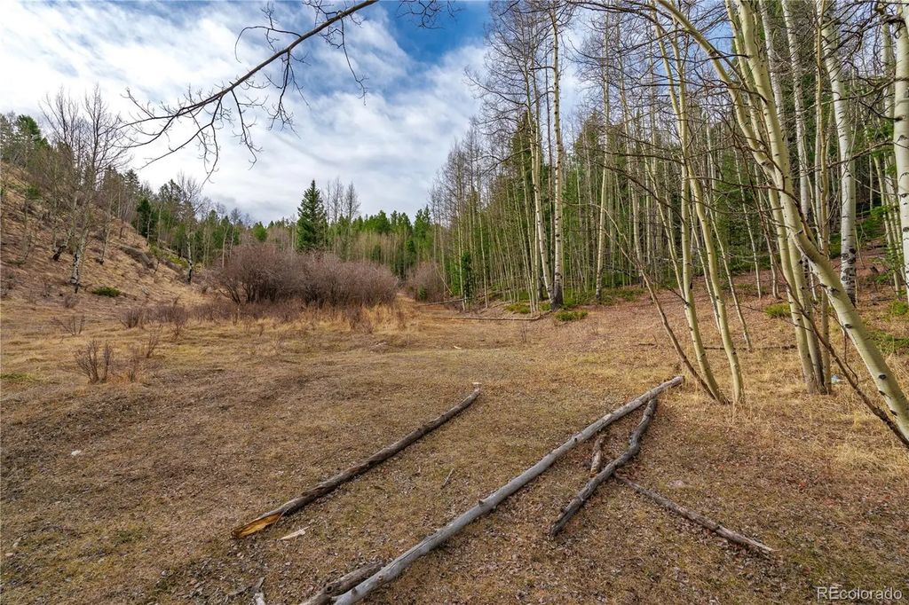130 Grey Eagle Way, Cripple Creek