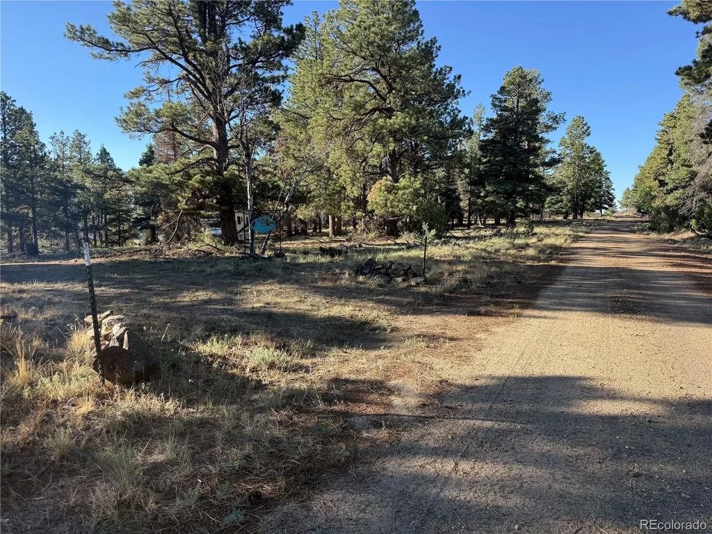 Lot 164 Tahmoush Lane, Fort Garland