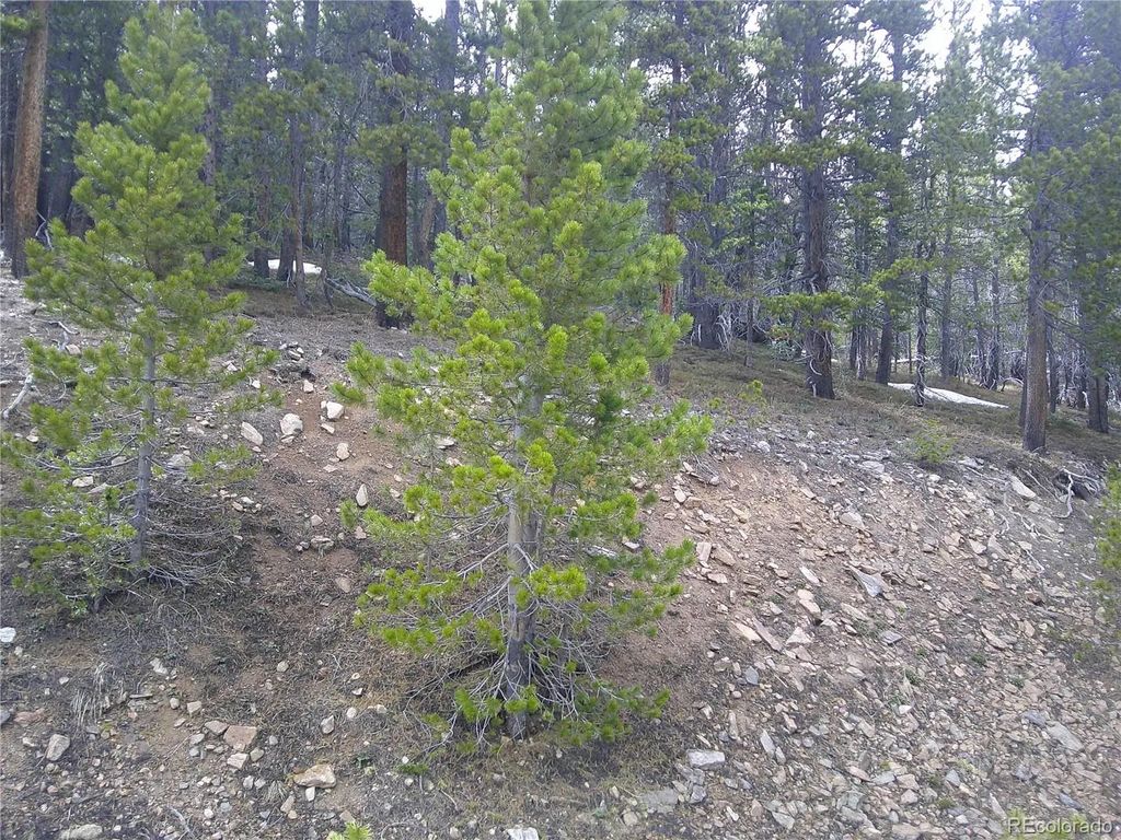 Lot 417 Glory Hole Road, Idaho Springs