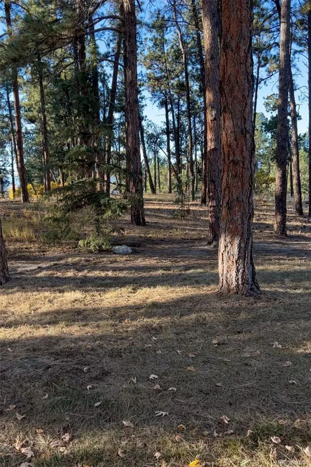 Rancho Escondido Lot 23c, Weston
