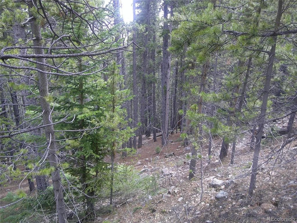 Lot #440 Hillside Road, Idaho Springs