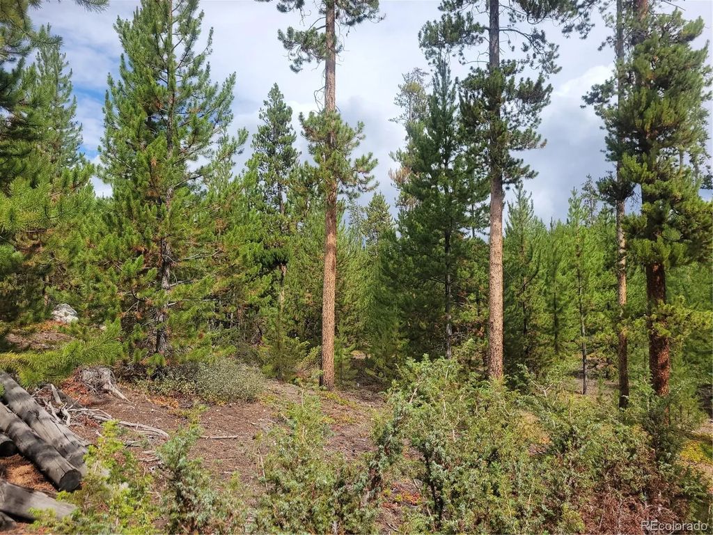 65 Grand County Road 6621, Grand Lake