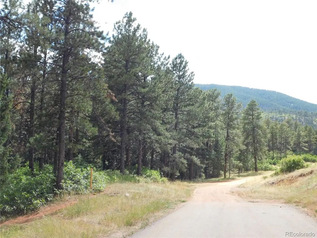 8169 Bannock Drive, Larkspur