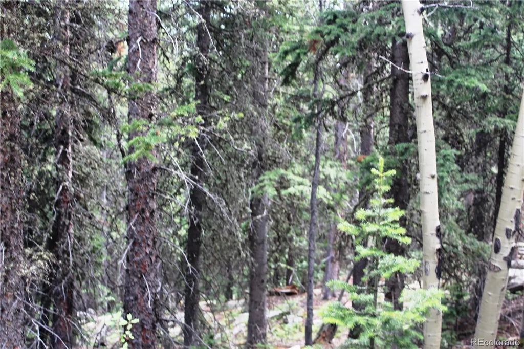 Hidden Wilderness Road, Idaho Springs