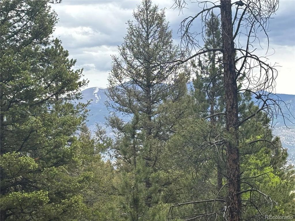 30304 Aspen Turn, Buena Vista