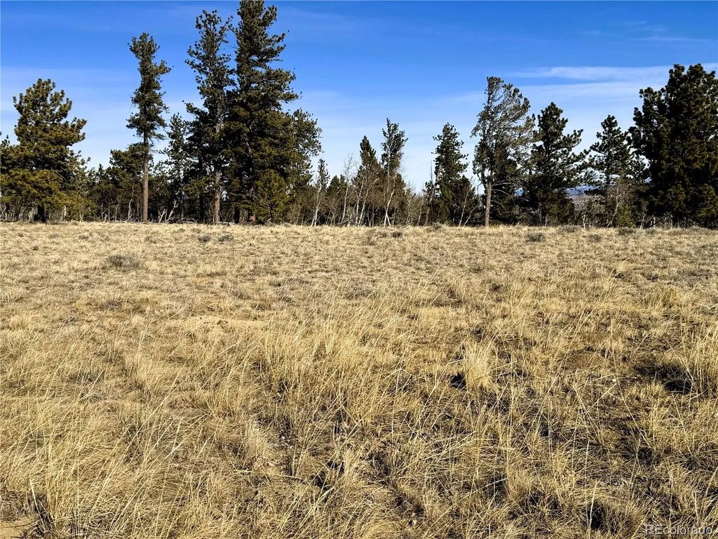 620 Wagon Wheel Road, Hartsel