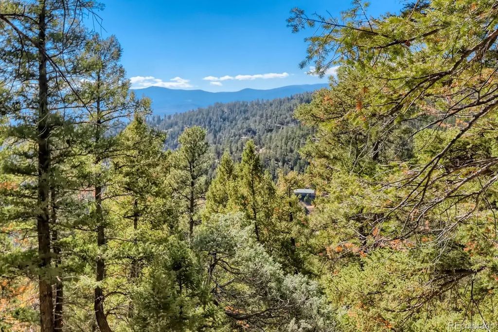 Elsie Road, Conifer