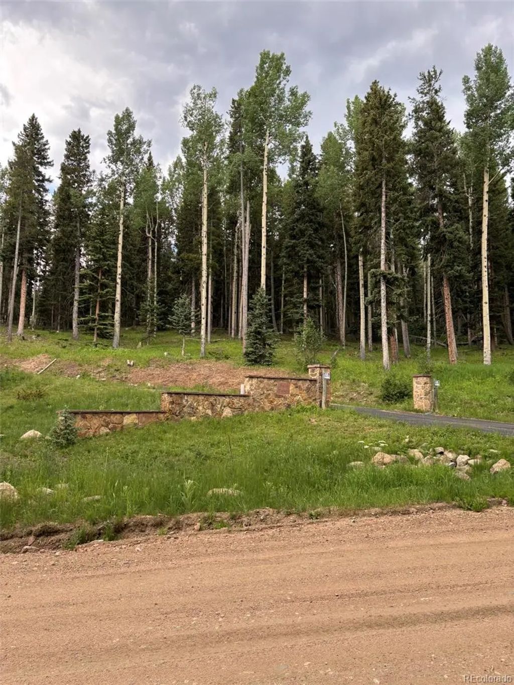 28651 Belle Point Drive, Conifer