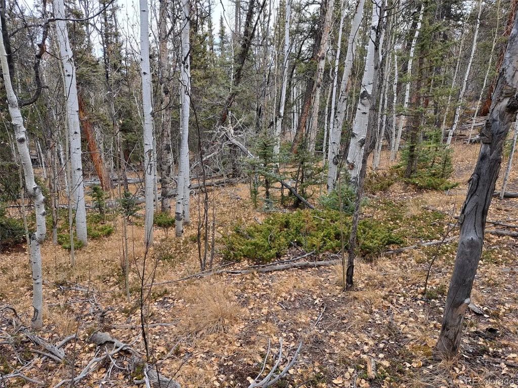 210 Tepee Trail, Como