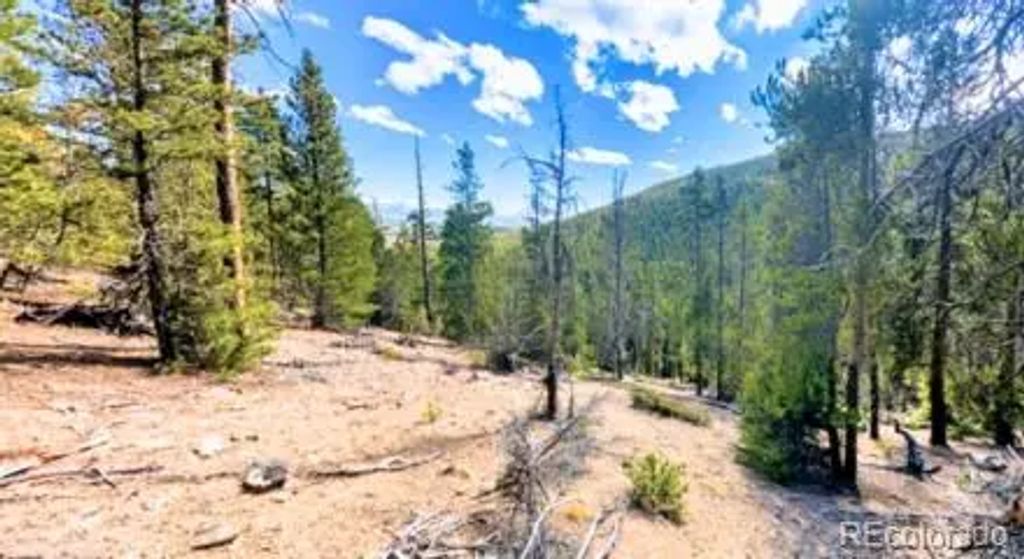 111 Kevin Gulch Road, Leadville