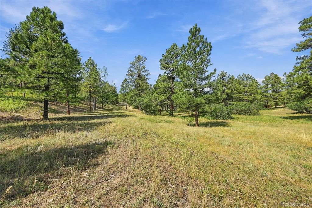 Kinnikinnik Drive, Larkspur