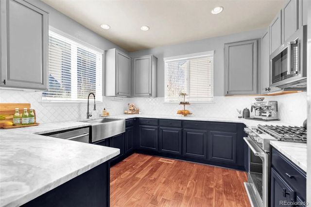 3623 Desert Ridge Place, Castle Rock