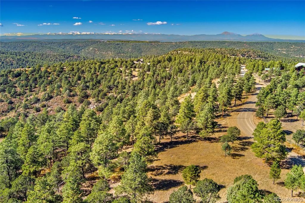 33250 Fox Trail, Trinidad