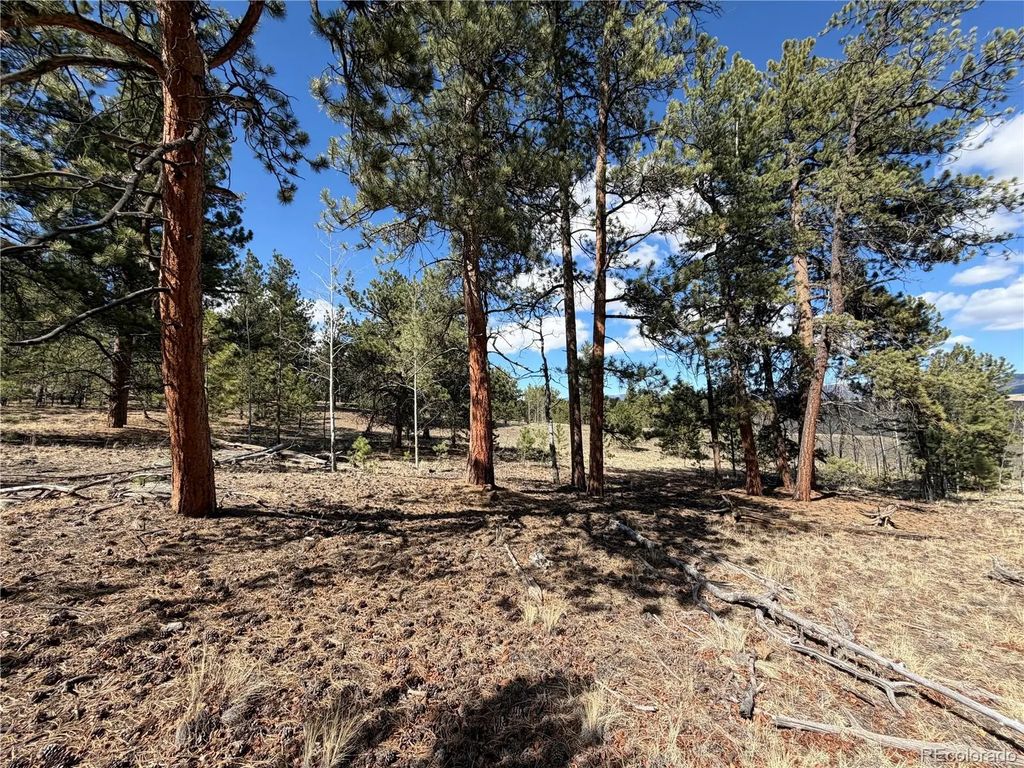 239 Shenandoah Path, Hartsel