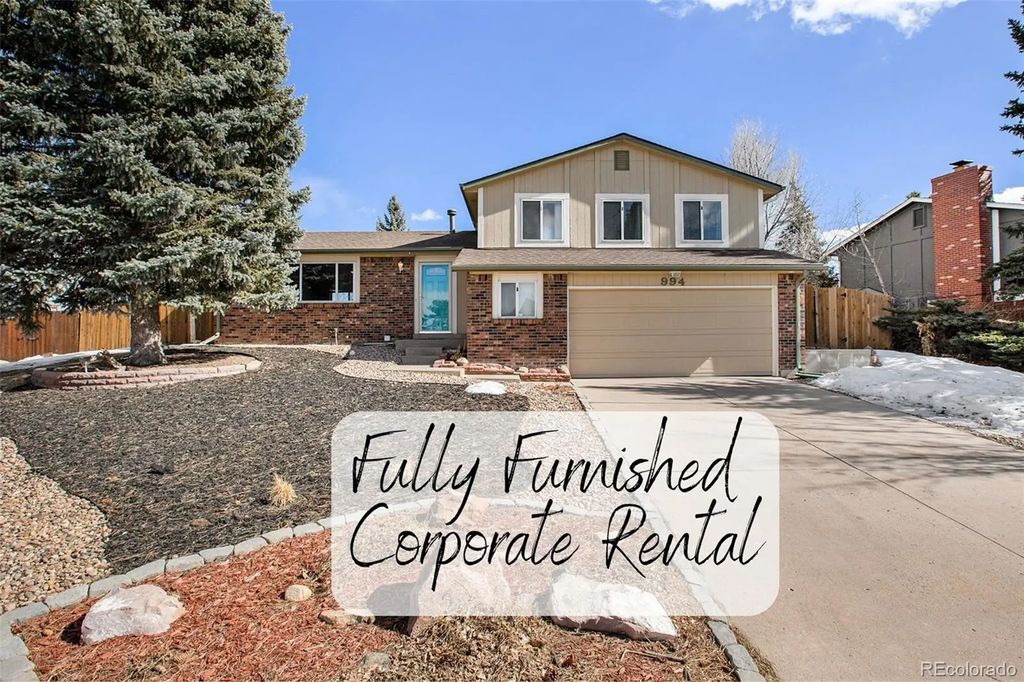 994 Pleasant View Street, Castle Rock