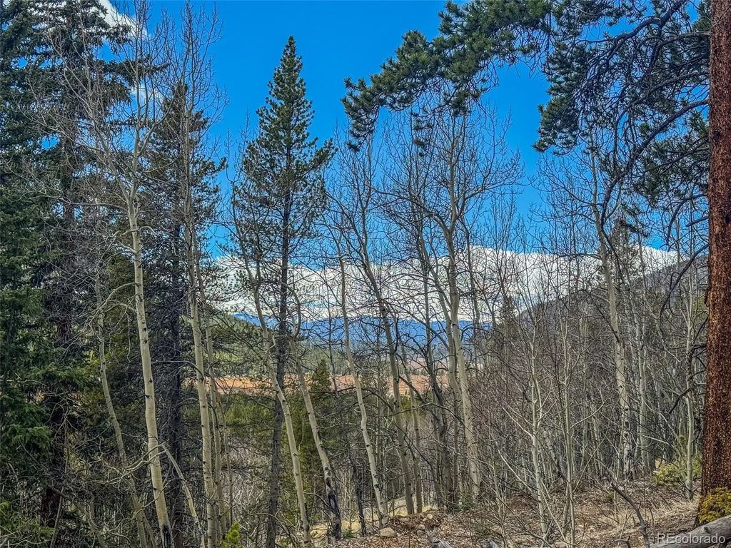 Buckeye Gulch Road, Leadville
