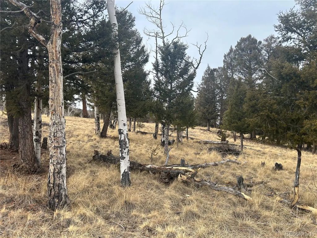 1421 Pitchfork Road, Hartsel