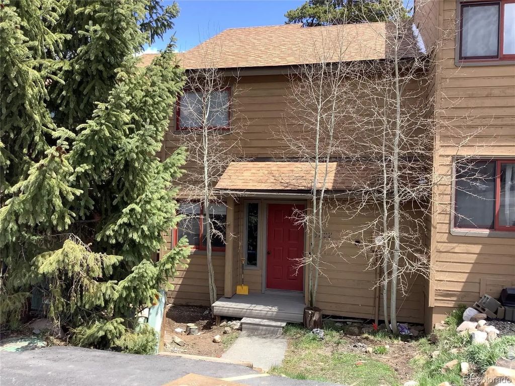 6722 Ryan Gulch Road 6722, Silverthorne