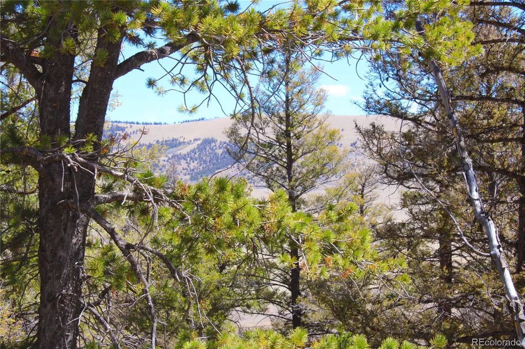 2882 Middle Fork Vista, Fairplay