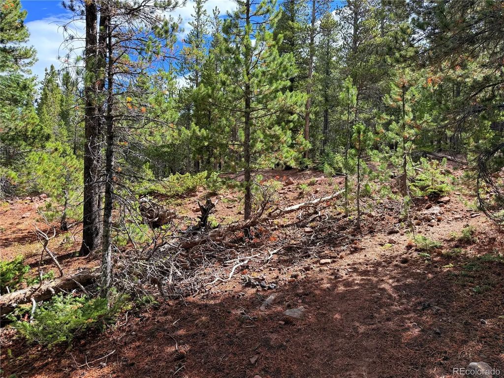 Lot 3187 Purnell Lane, Fort Garland