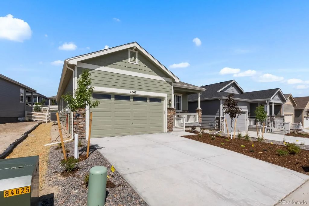 2345 Drummle Drive, Castle Rock