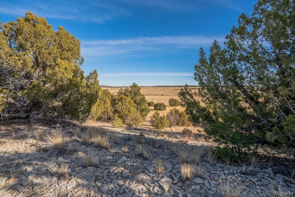 24 Hatchet Ranch, Colorado City