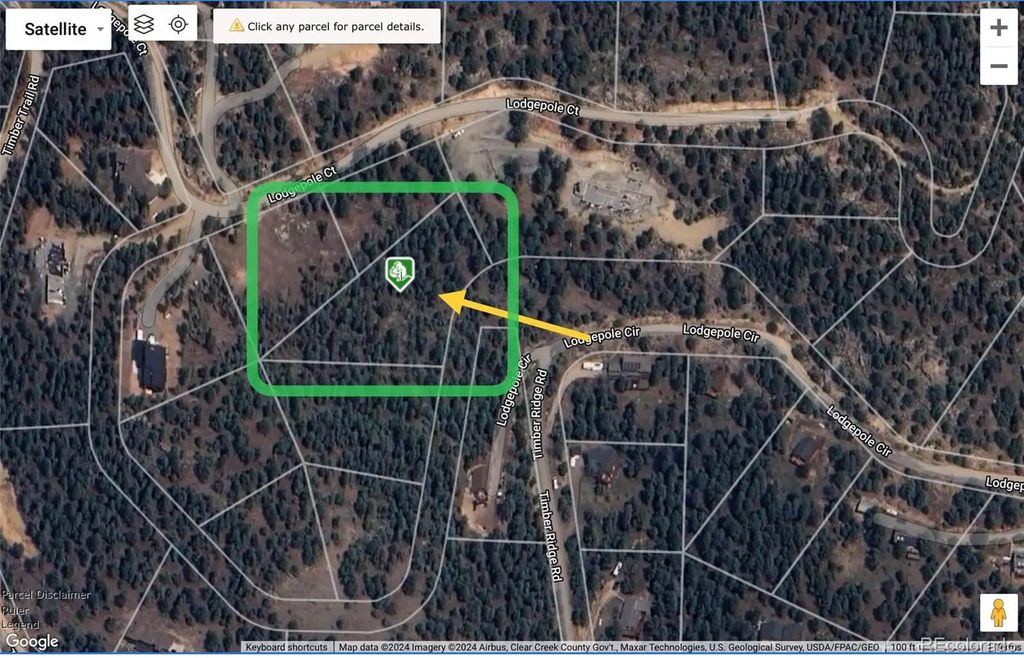 32724 Lodgepole Circle, Evergreen