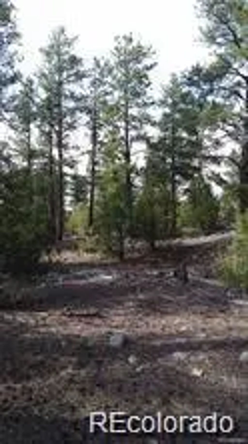 13 Tract 2 Costilla Place, Alamosa