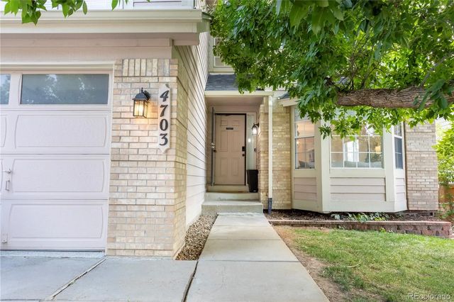 4703 N Wildflowers Way, Castle Rock