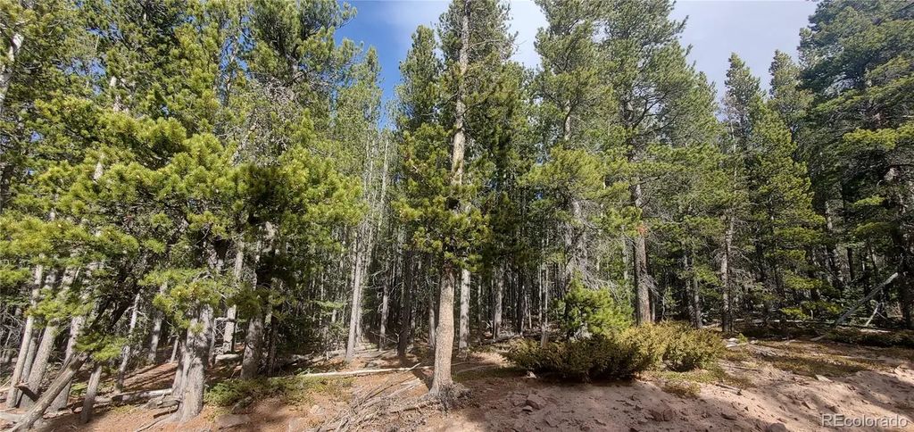 Lot 3246 Zipf Lane, Fort Garland