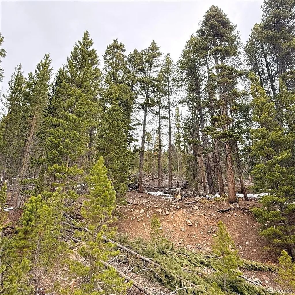 Lot 406 Glory Hole Road, Idaho Springs