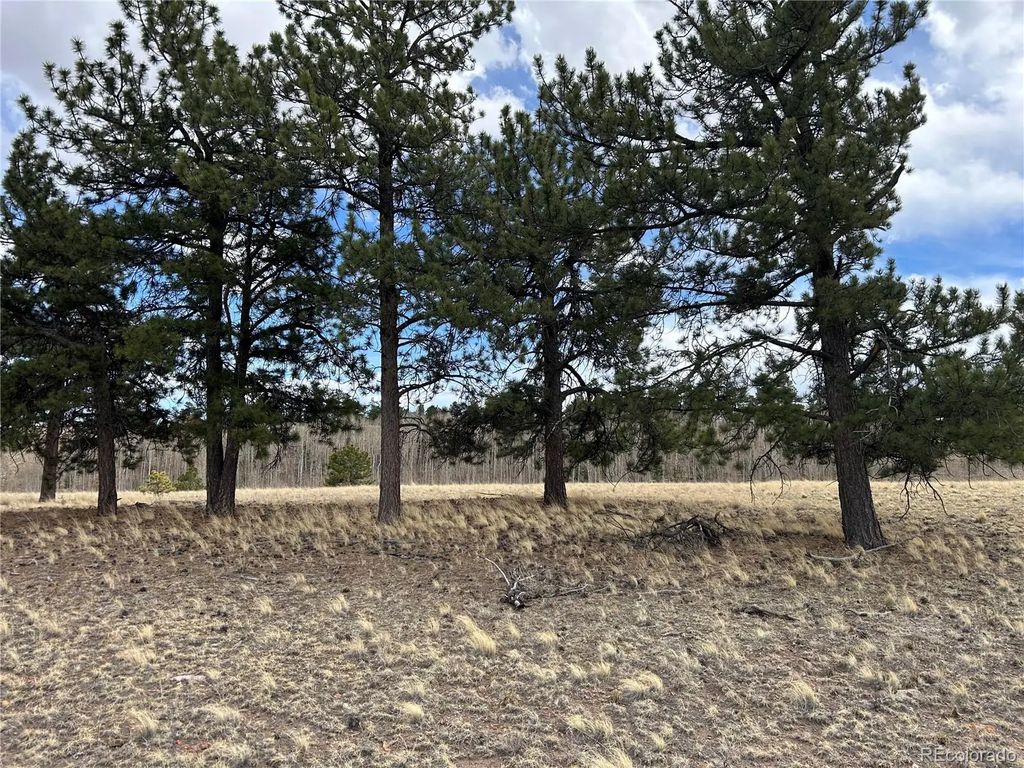 304 Brahma Circle, Hartsel