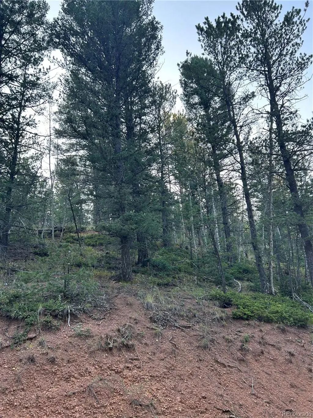 83 Sodalite Road, Divide