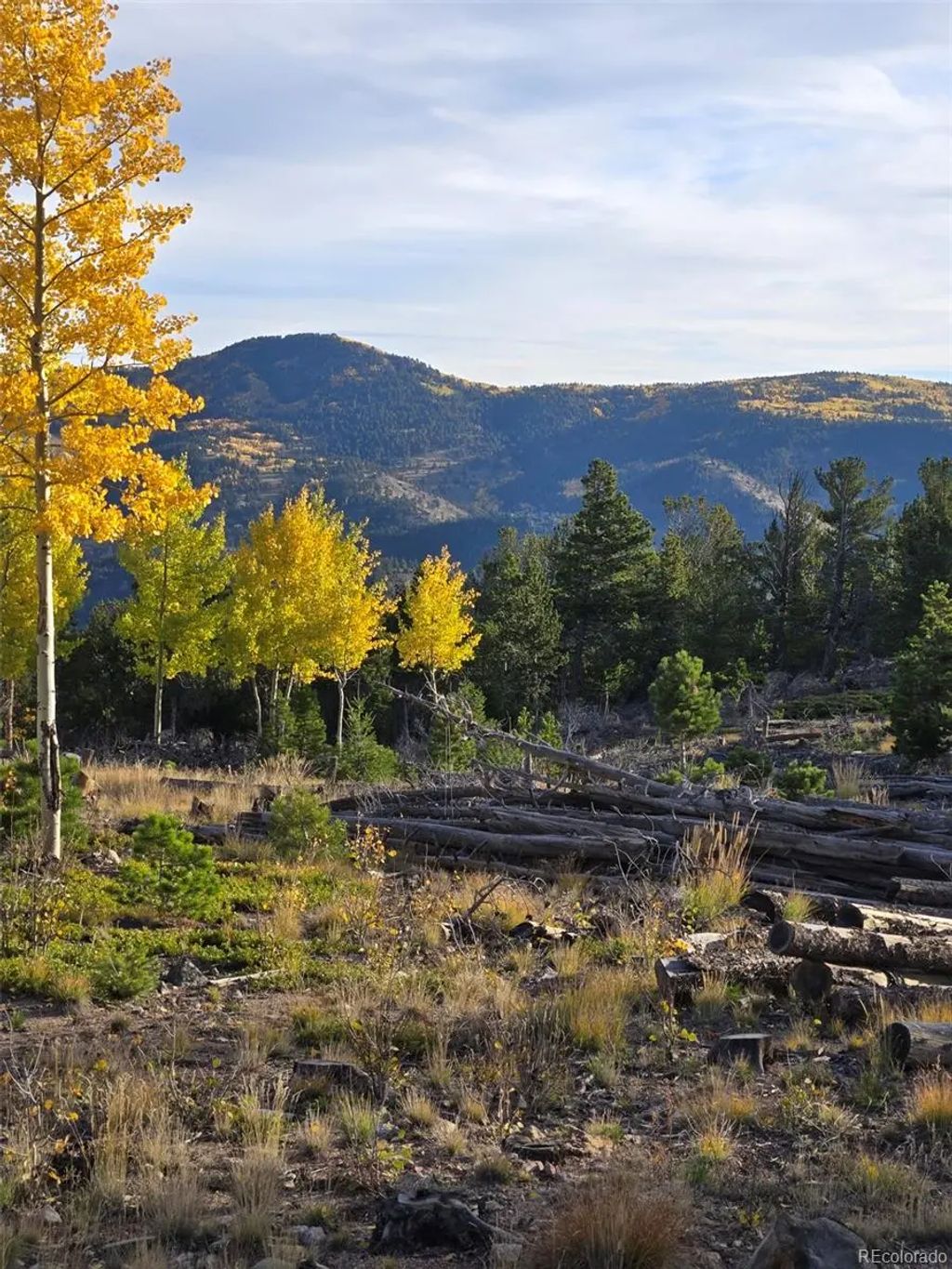 Frank C, Idaho Springs