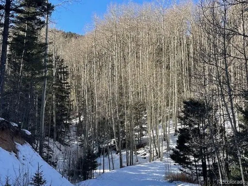 Lot 5252 Scott Road, Fort Garland
