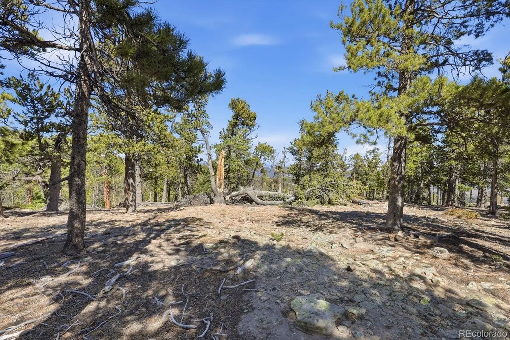 33149 Janelle Circle, Golden